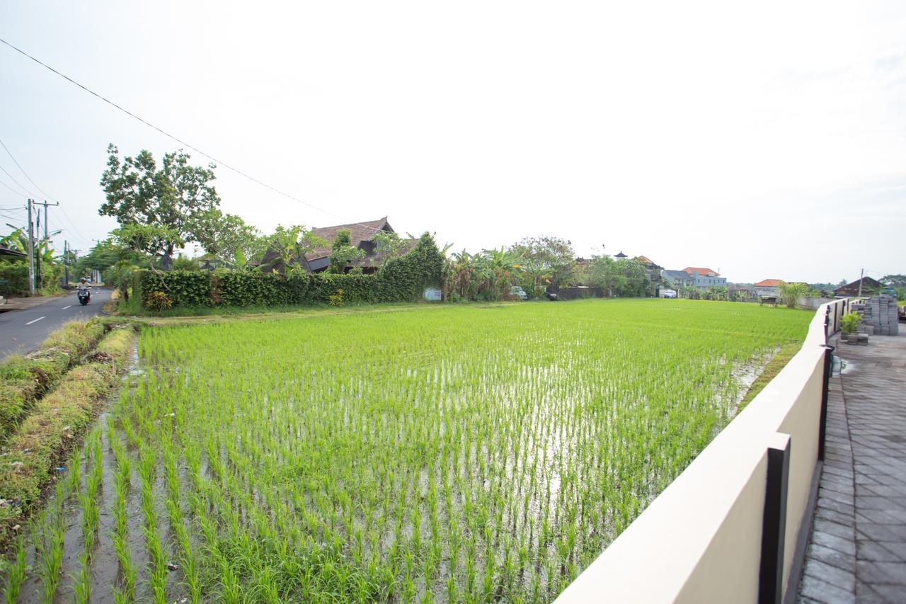 V Canggu Dormitory Extérieur photo